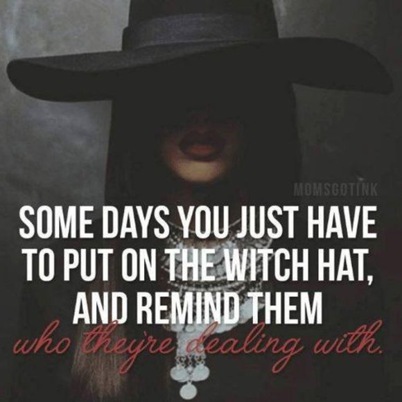 Meet your Posher, Rose - Picture 5 of 7